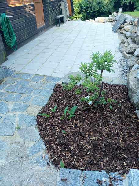 Terrassenbau mit Trockenmauer Terrassenbau