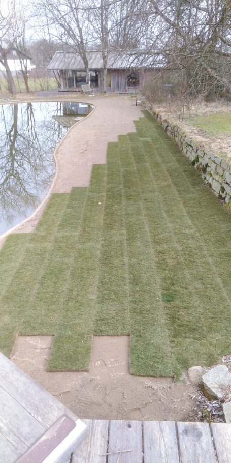 Rollrasen Anlegung Grünflächen/Rollrasen Verlegung