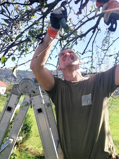 Obstbaumschnitt Obstbaumschnitt